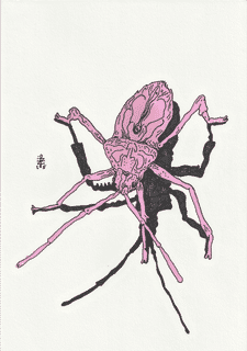 western-conifer-seed-bug-with-one-missing-leg-2025